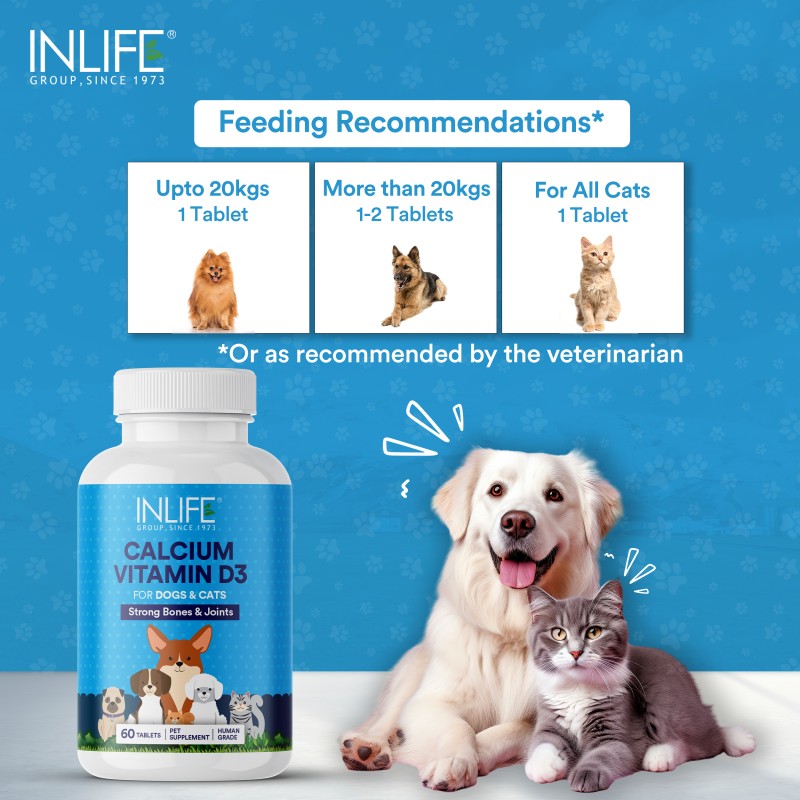Calcium Supplement for Dogs Cats - Bulk Vitamin D3 Tablets Supplier