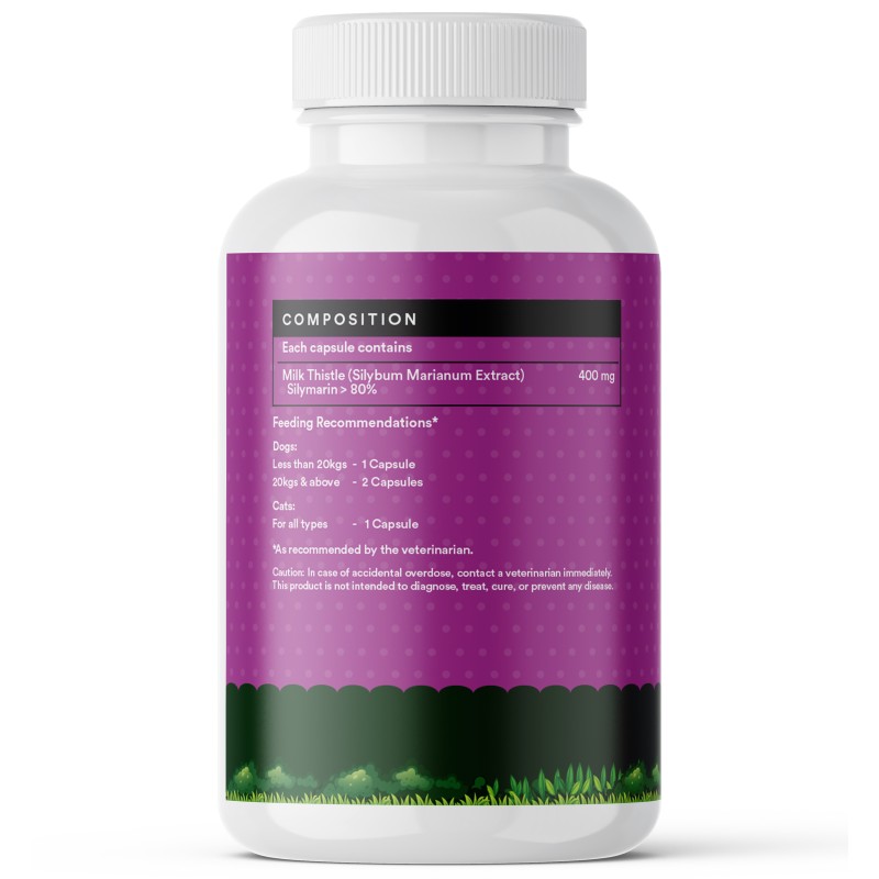 Milk Thistle Capsules for Pets - OEM Immune Support Supplement Factory