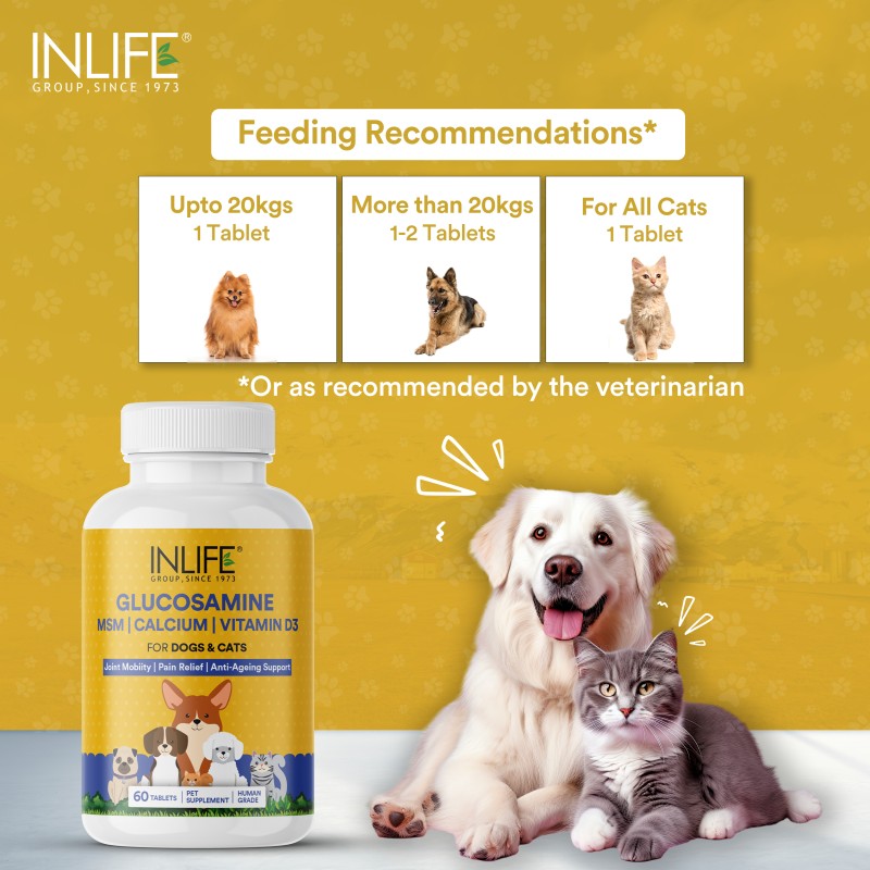 Glucosamine Tablets for Pets - OEM Joint Support Supplement Supplier