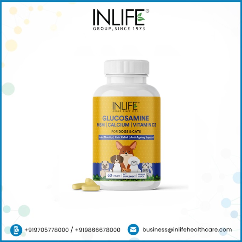 Glucosamine Tablets for Pets - OEM Joint Support Supplement Supplier