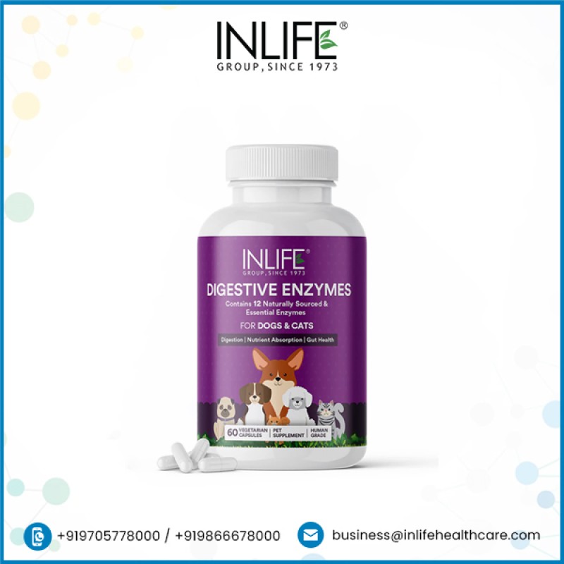Digestive Enzymes for Pets - Custom Supplement Capsules Manufacturer
