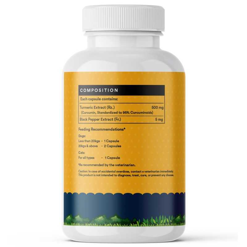 Curcumin Supplement for Pets - OEM Custom Herbal Capsules Factory