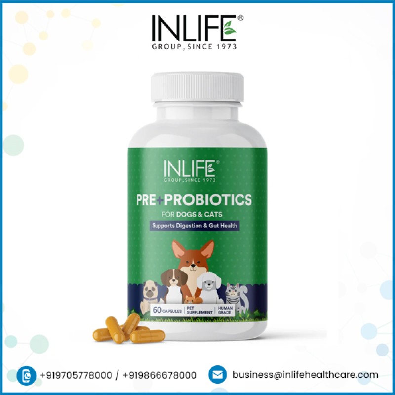 Prebiotic Probiotic for Pets - Digestive Health Capsules Supplier