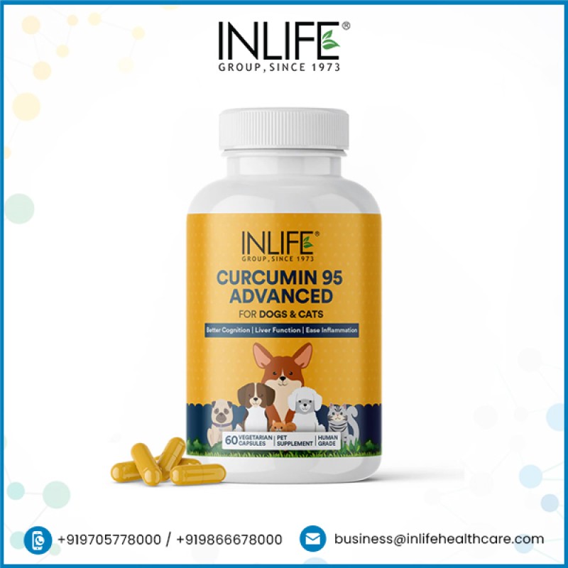 Curcumin Supplement for Pets - OEM Custom Herbal Capsules Factory