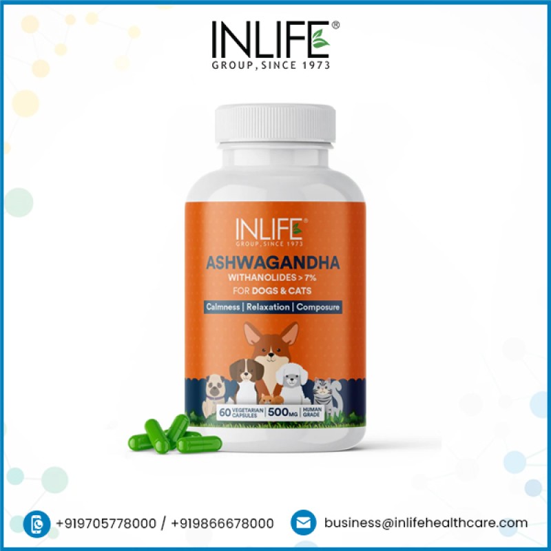 Ashwagandha Capsules for Pets - Custom 500mg Supplement Supplier