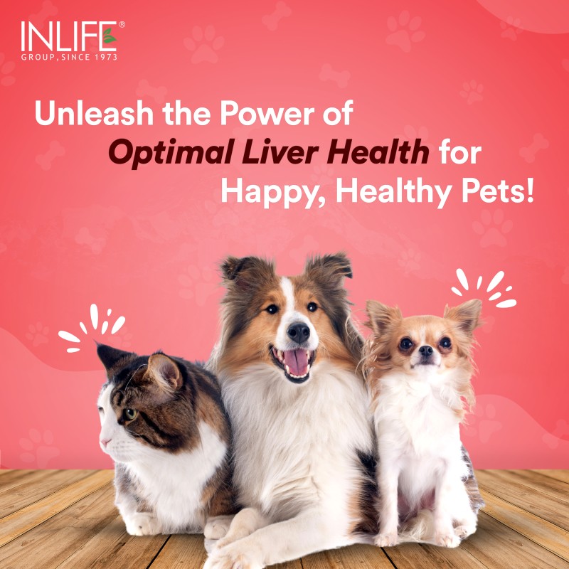 Liver Function Pet Supplement - Custom Flavor Powder Factory