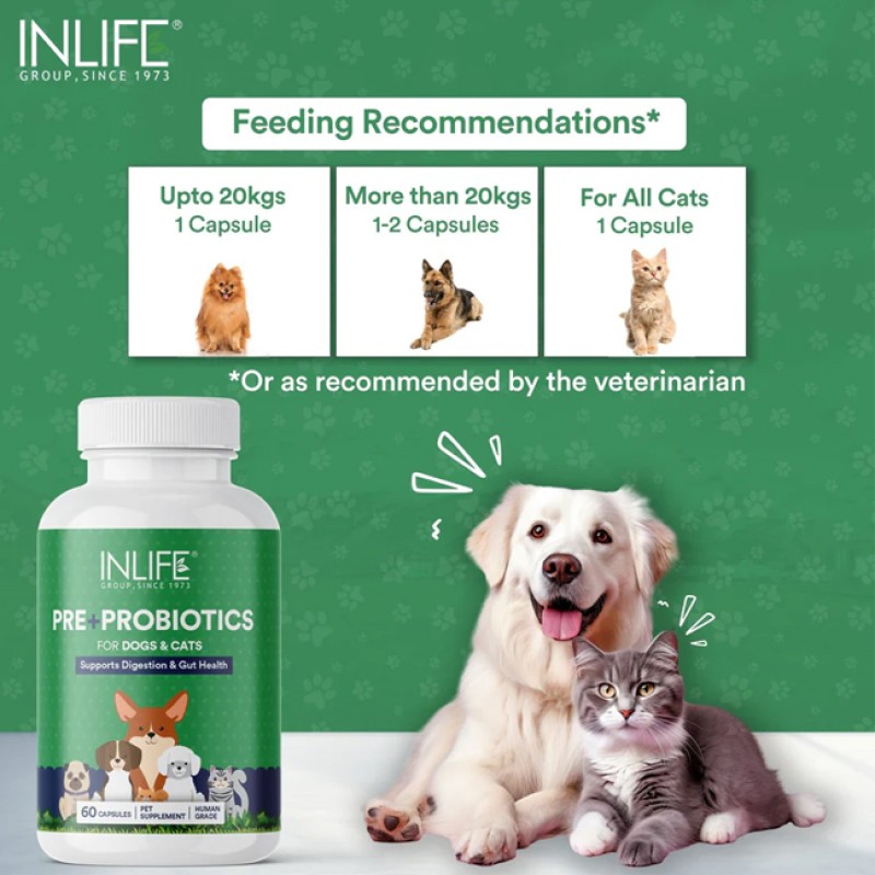 Probiotic Supplement for Pets - Budget Friendly Capsules Manufacturer