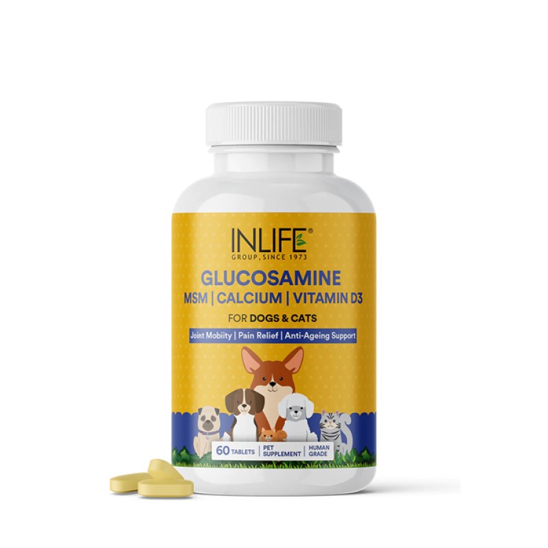 Glucosamine Tablets for Pets - OEM Joint Support Supplement Supplier