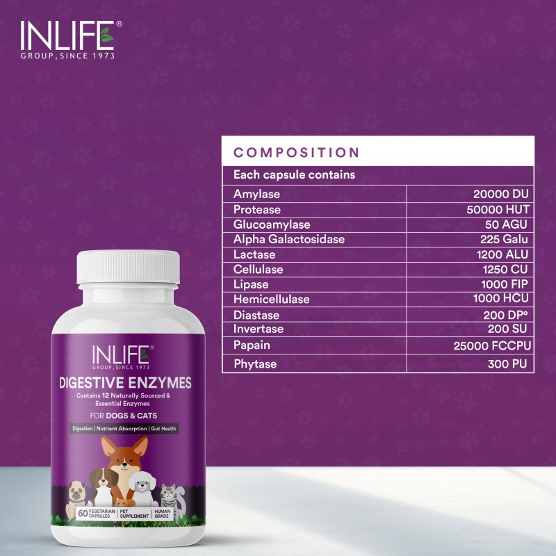 Digestive Enzymes for Pets - Custom Supplement Capsules Manufacturer