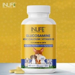 Glucosamine Tablets for Pets - OEM Joint Support Supplement Supplier