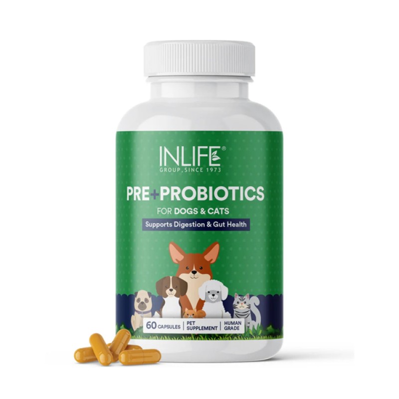 Digestive Support for Pets - Probiotic Prebiotic Capsules Supplier