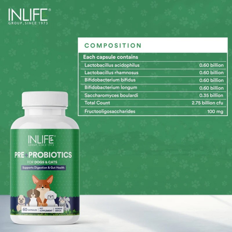 Pet Probiotic Supplement - Effective Digestive Support Manufacturer