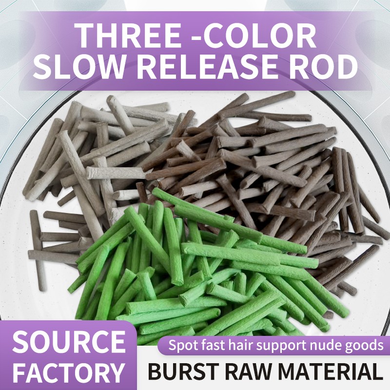 Plant Nutrition Stick Factory - Slow Release Garden Fertilizer OEM