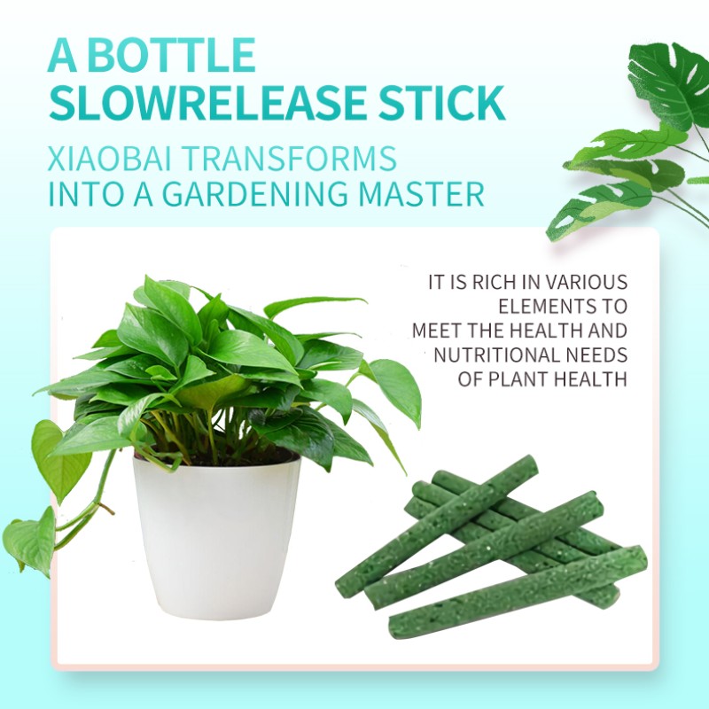 Organic Plant-Based Nutrition Bar Manufacturer - Custom Formula Private Label