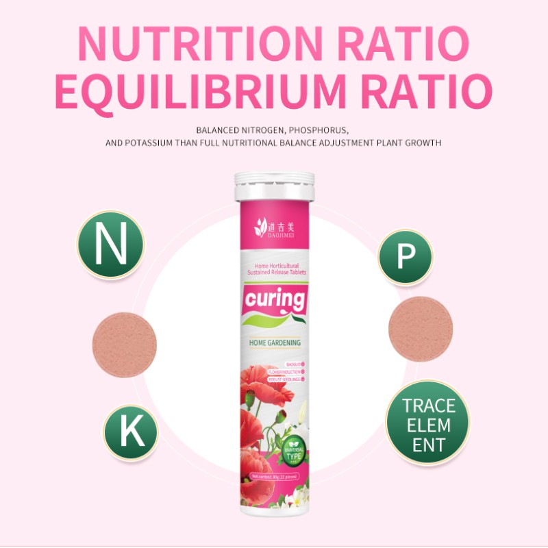 Organic Fertilizer Stick Supplier - Potted Gardening Custom Formula