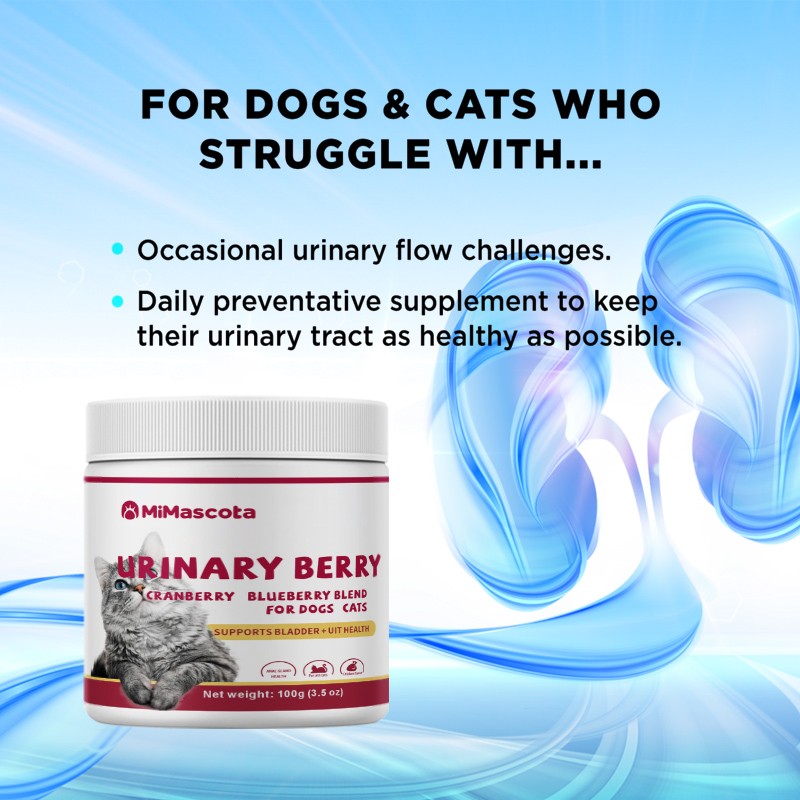 Cranberry Bladder Supplement - Urinary Kidney Care