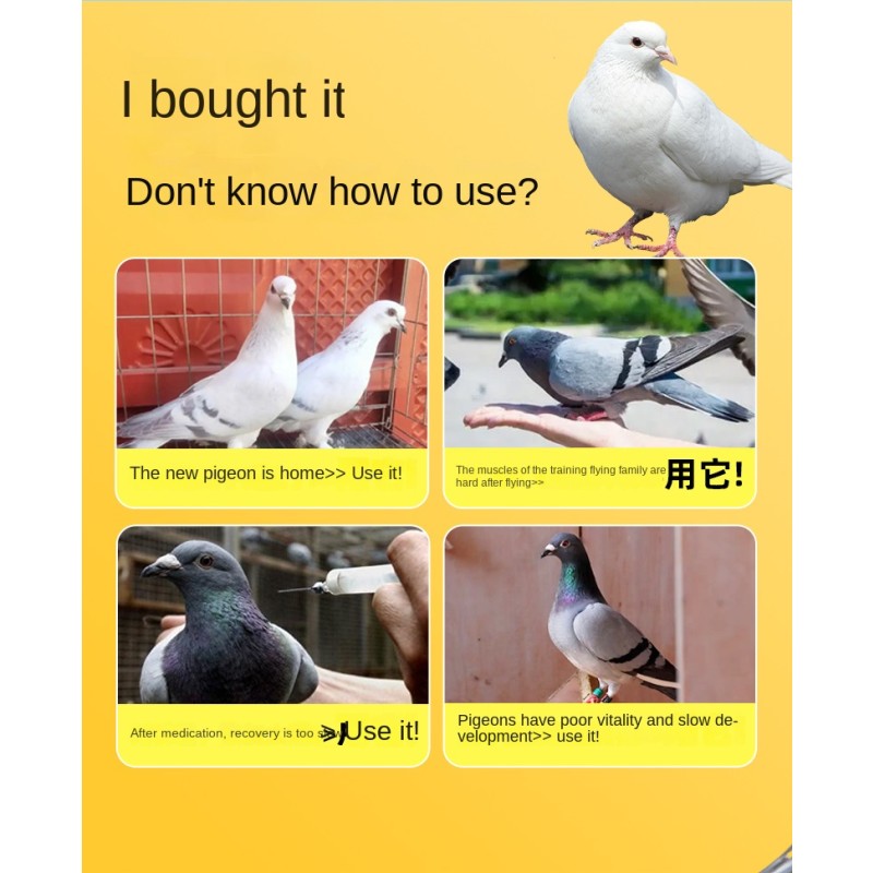 Pigeon Electrolyte Supplement - High Protein Powder Formula