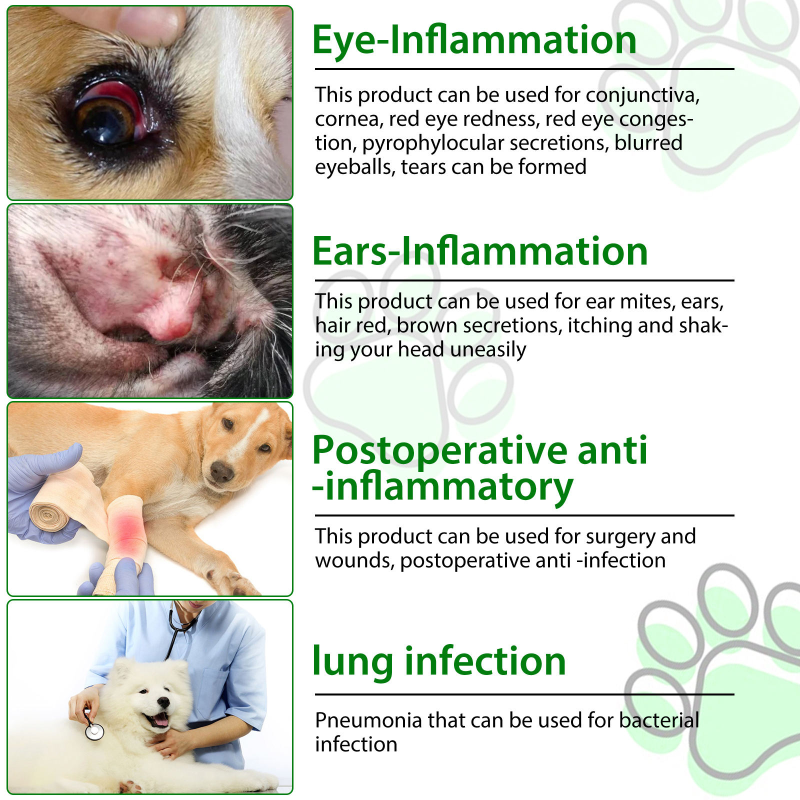 Herbal Antibiotic Drops - Anti Inflammatory Supplement