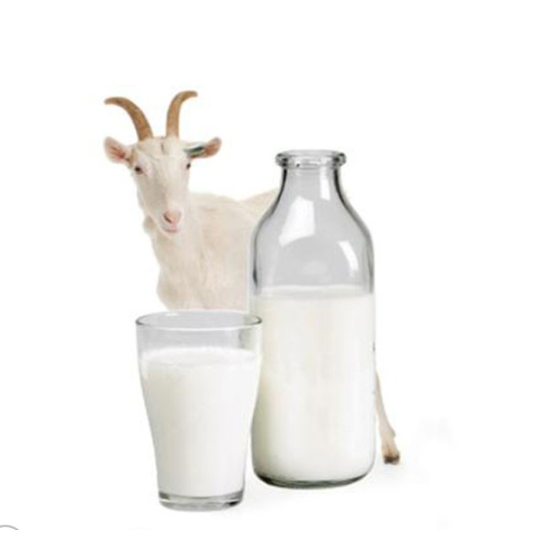 Goat Milk Powder - Puppy Kitten Vitamin Supplement