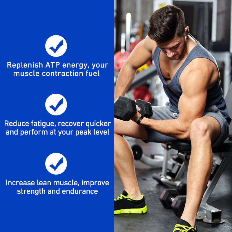 Creatine Monohydrate Powder - Sports Nutrition Beauty Product