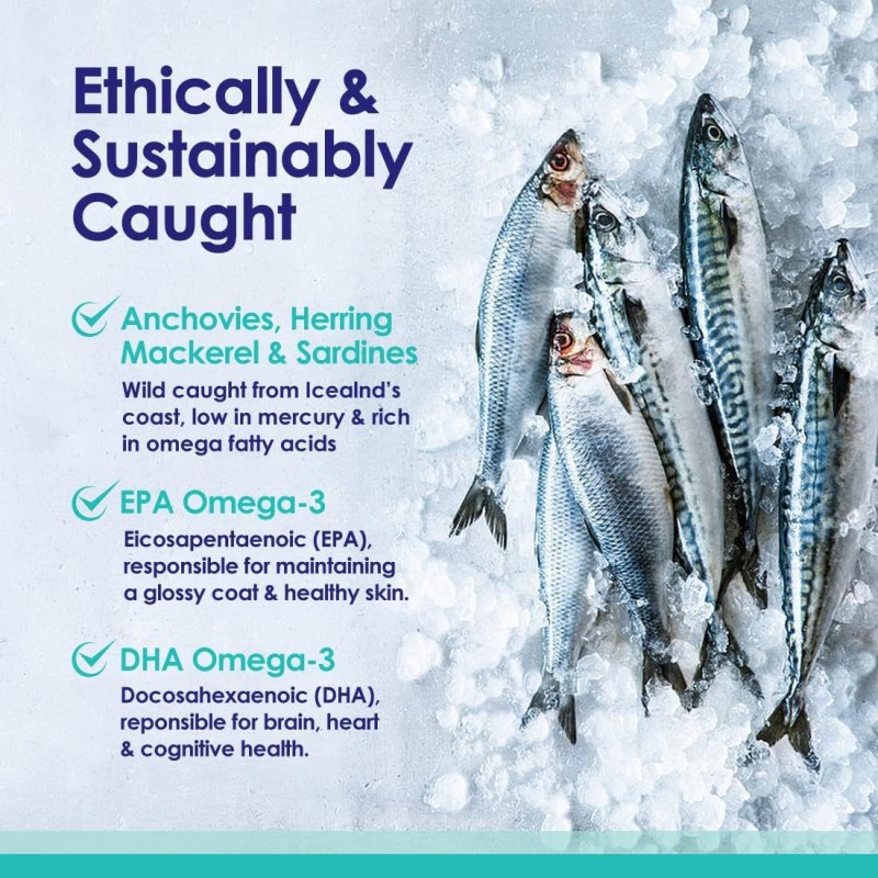 Omega 3 Fish Oil Softgels - Private Label EPA DHA Supplement