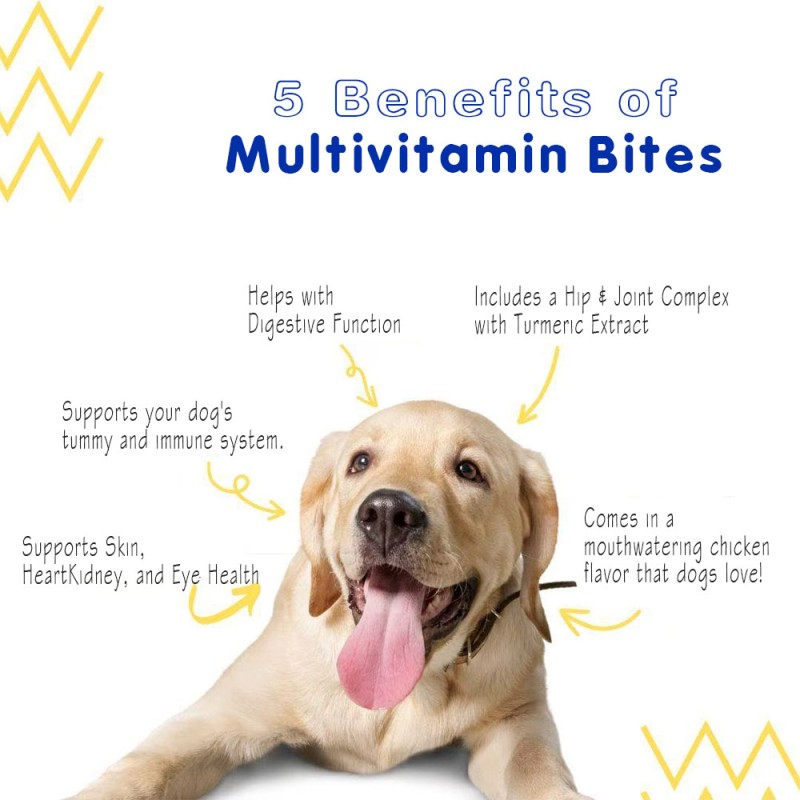 Pet Multivitamin - Probiotic Gut Health Formula