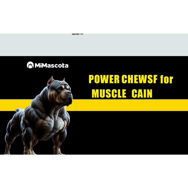 Salmon Oil Chews - Multivitamin Joint Supplement