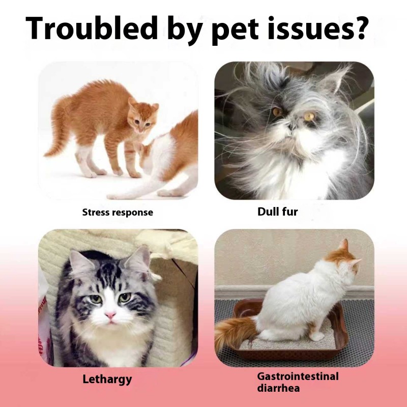 Pet Electrolyte Powder - Multi Species Supplement