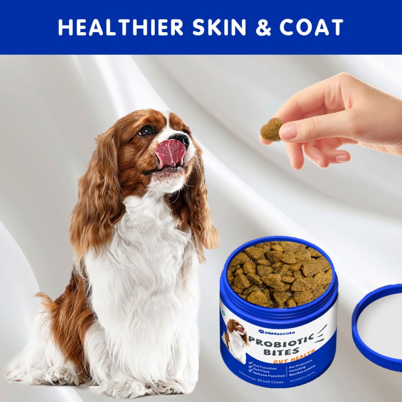 Pet Multivitamin - Probiotic Gut Health Formula