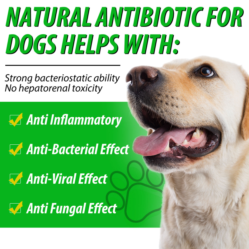 Herbal Antibiotic Drops - Anti Inflammatory Supplement