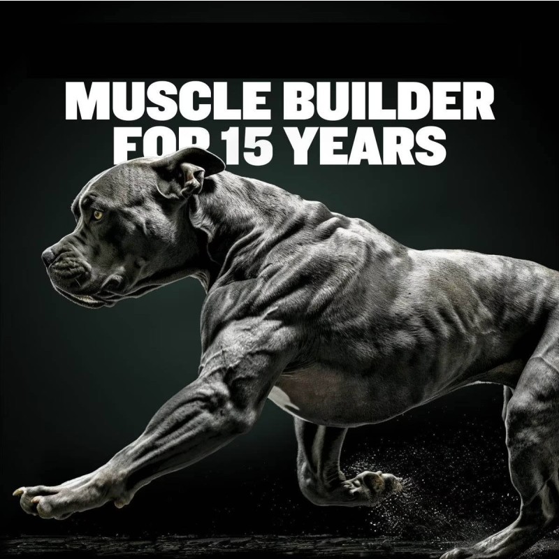 Protein Soft Chews - Weight Gain Muscle Builder