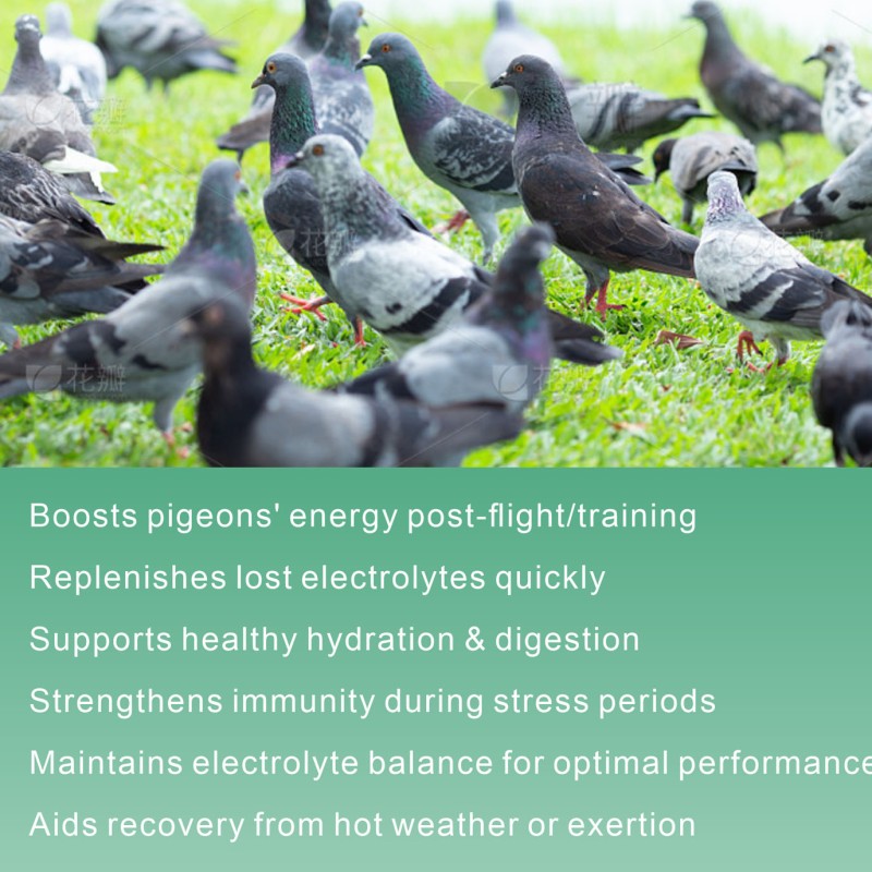 Electrolyte Feed Additives - Mineral Based Pet Supplement