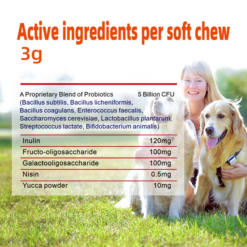 Probiotic Chews for Pets - Custom Digestive Health Supplement Factory