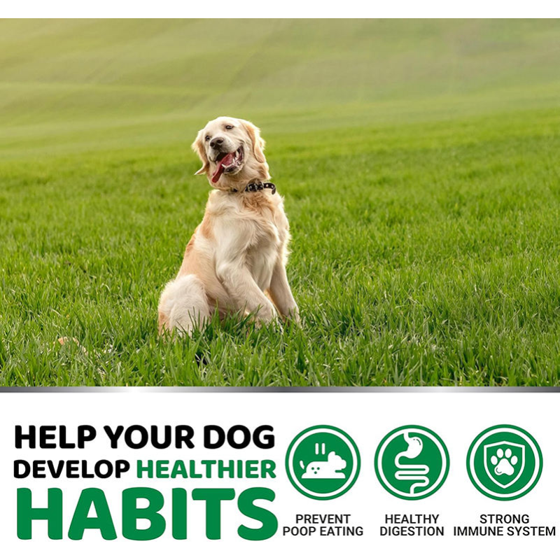 No Poo Chews - Probiotic Pet Supplement