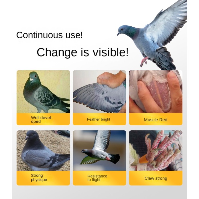 Pigeon Electrolyte Supplement - High Protein Powder Formula