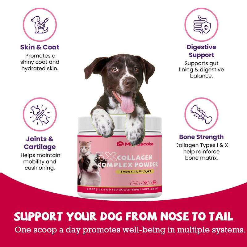 Pet Digestion Supplement - Stomach Stool Support