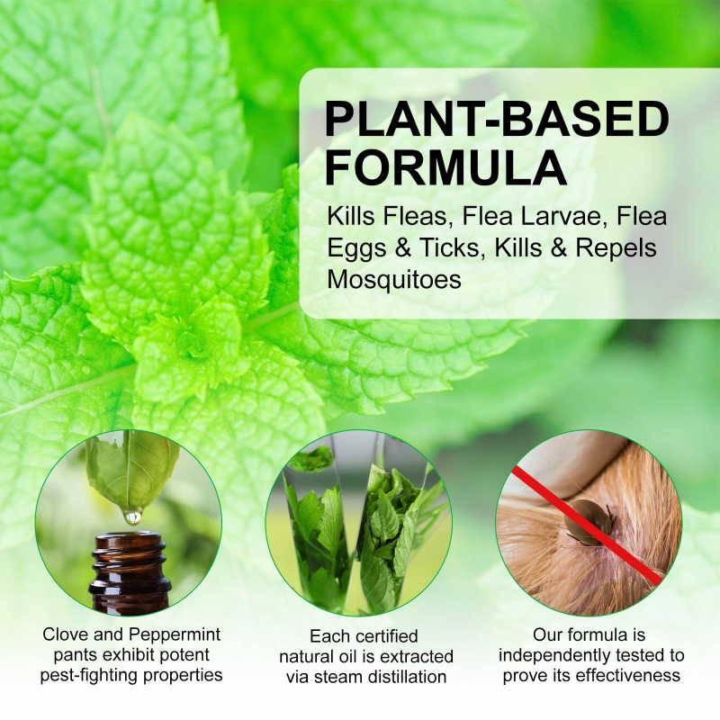 Dog Flea Tick Spray - Pet Shampoo Skin Care