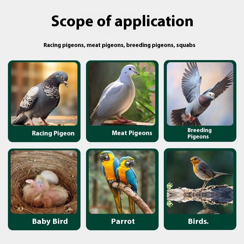 Racing Pigeon Supplement - Herbal Health Clear Formula