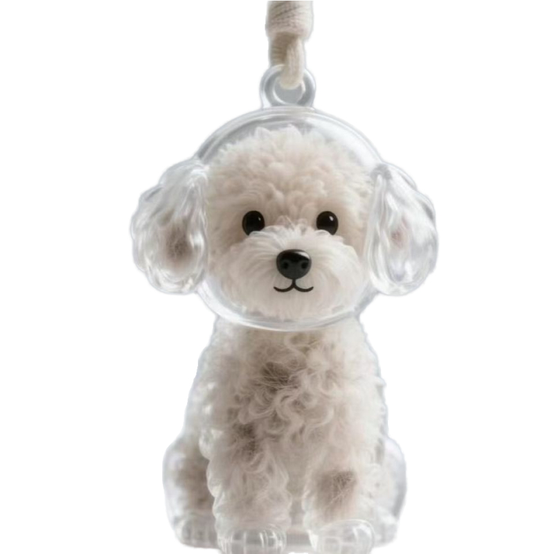 Pet Hair Capsule Keychain - Souvenir Gift Item