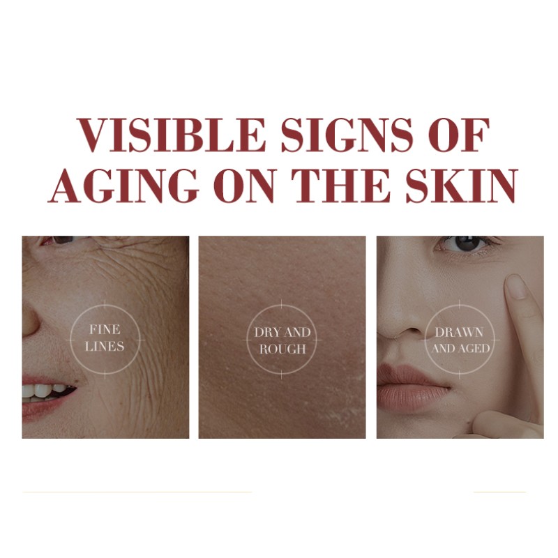 Anti Wrinkle Cream Factory - Fine Lines Lift Tighten Moisturize