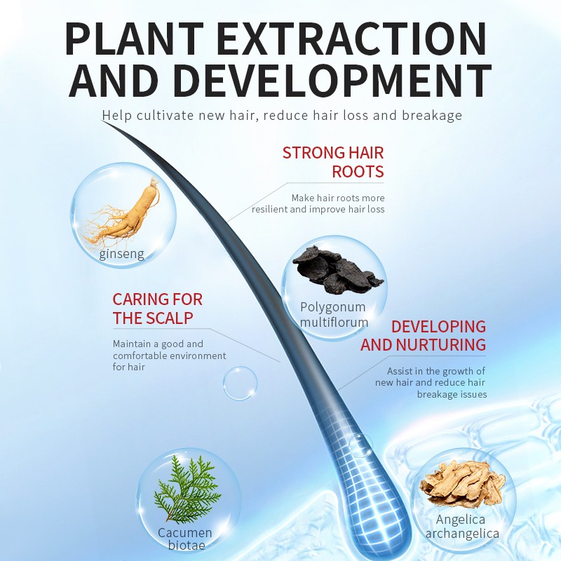 Hair Growth Serum Factory - Best Herbal Loss Prevention Healthy