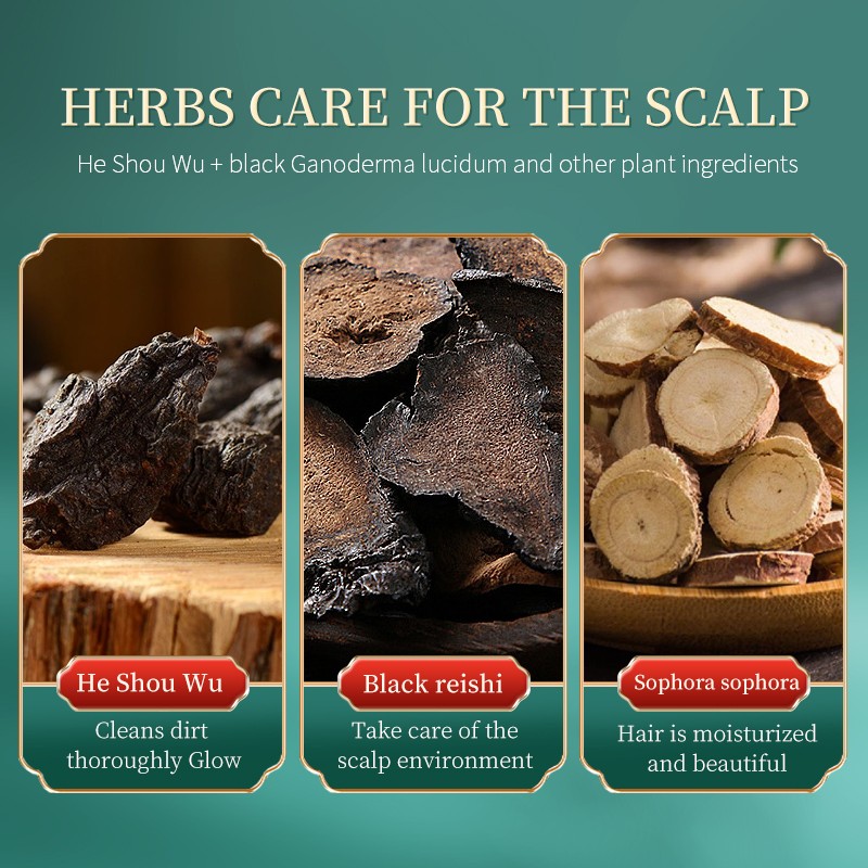 Herbal Shampoo Manufacturer - Oil Control Dandruff Removal Plant