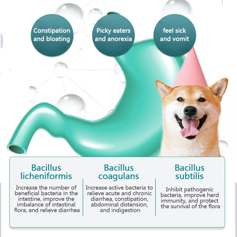 Pet Probiotic Tablets Manufacturer - Dog Cat Multivitamin Conditioning