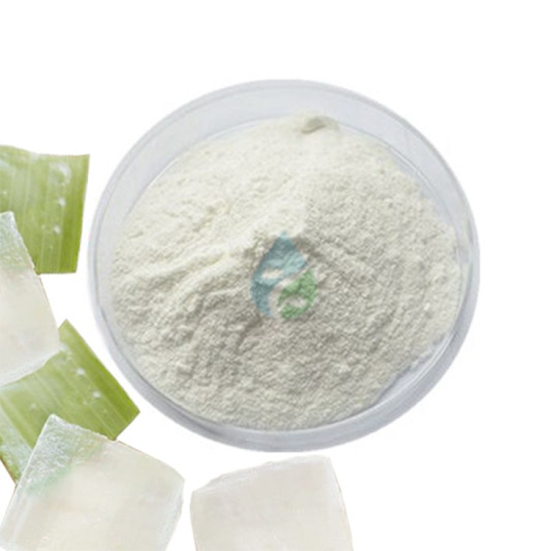 Aloe Vera Powder - Organic Leaf Extract Supplier
