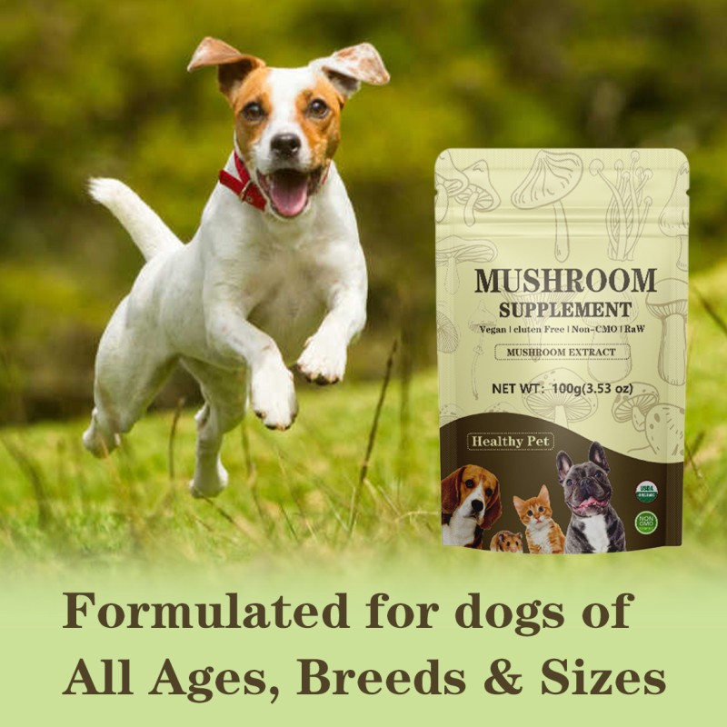 Mushroom Blend Pet Supplement - Organic Immune Support