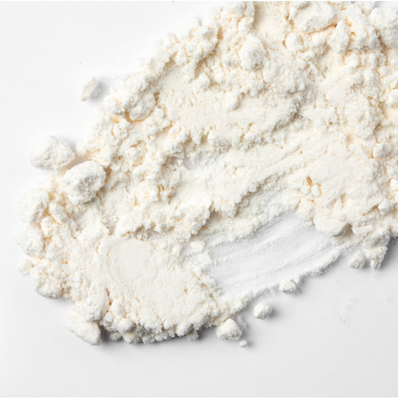 Aloe Vera Powder - Organic Leaf Extract Supplier