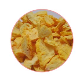 Freeze Dried Pineapple - OEM Fruit Slices