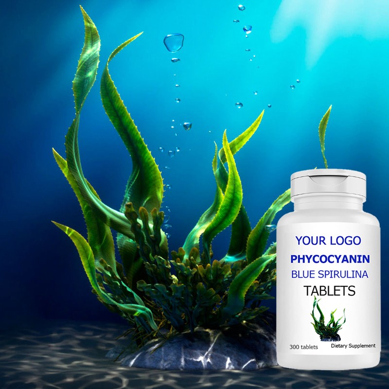 Creatine Gummies - Sugar Free Pre Workout Supplement