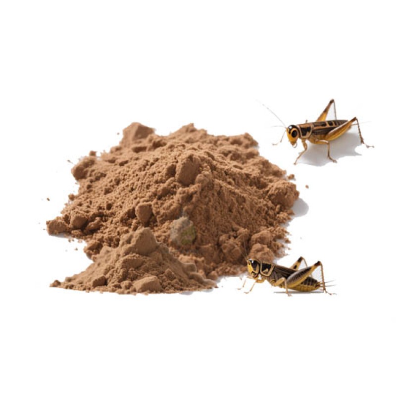Cricket Protein Powder - Natural Raw Supplement