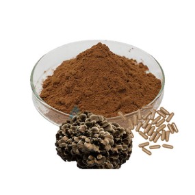 Mushroom Extract Powder - Functional Blend Supplement